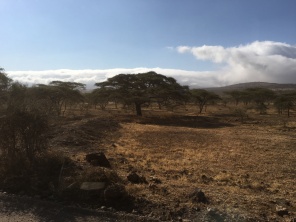Skyer over Ngorongoro